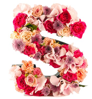 Kişiye Özel Harf Saksıda Mix İthal Mini Gül ve Ortanca