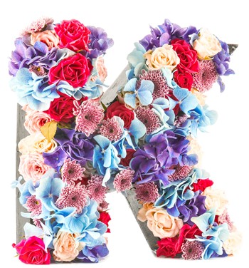 Kişiye Özel Harf Saksıda İthal Mix Mini Gül ve Mavi Ortanca 