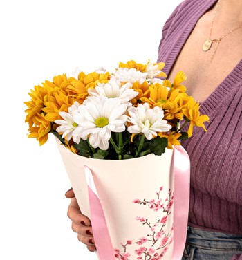 Sakura Mix Krizantem