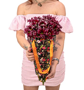 Madagaskar Pembe Krizantem